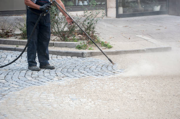 Best Dumpster Area Cleaning  in Hutchison, VA